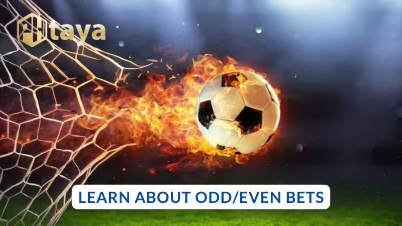 Understanding the Odd/Even Bet